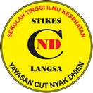 STIKES Cut Nyak Dhien Langsa