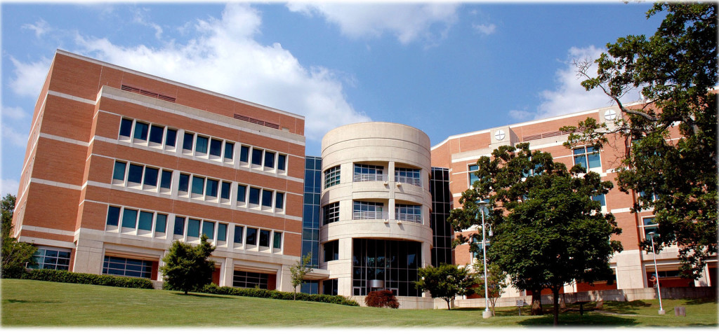 Sekolah Tinggi Ilmu Ekonomi Pelita Bangsa Universitas